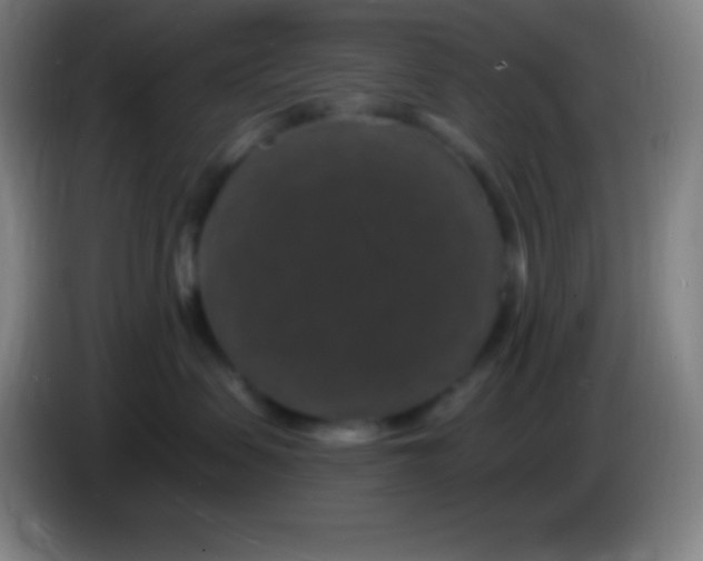 X0000085300479200703302005