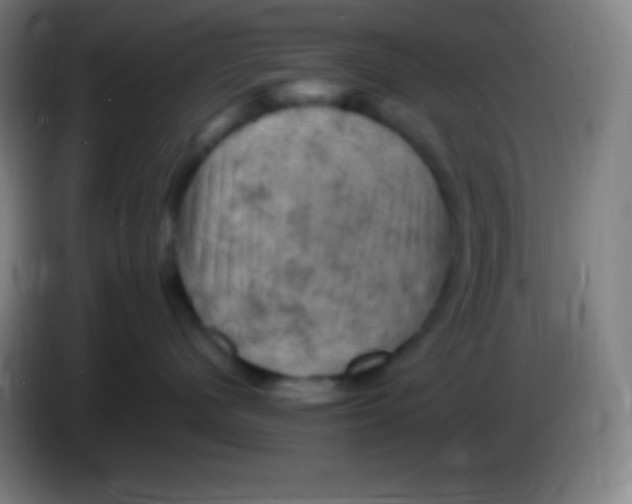 X0000085300480200703302005