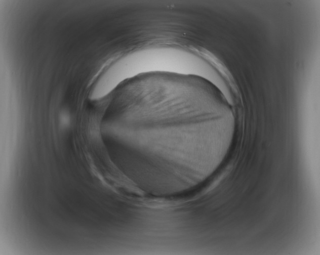 X0000085300481200703302004