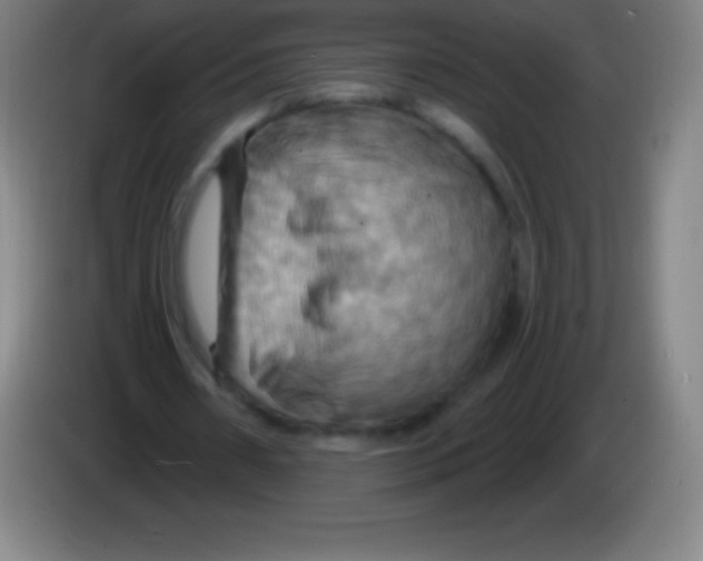 X0000085300482200703302004