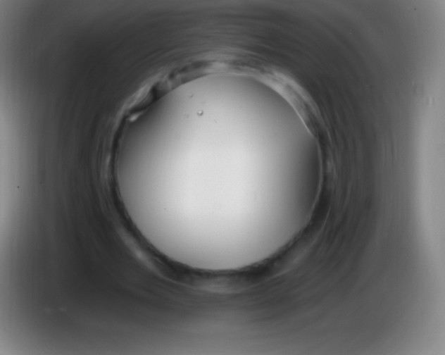 X0000085300485200703302004