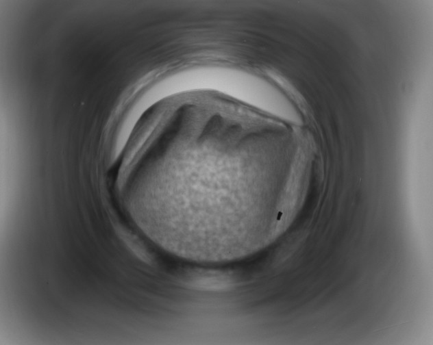X0000085300486200703302004