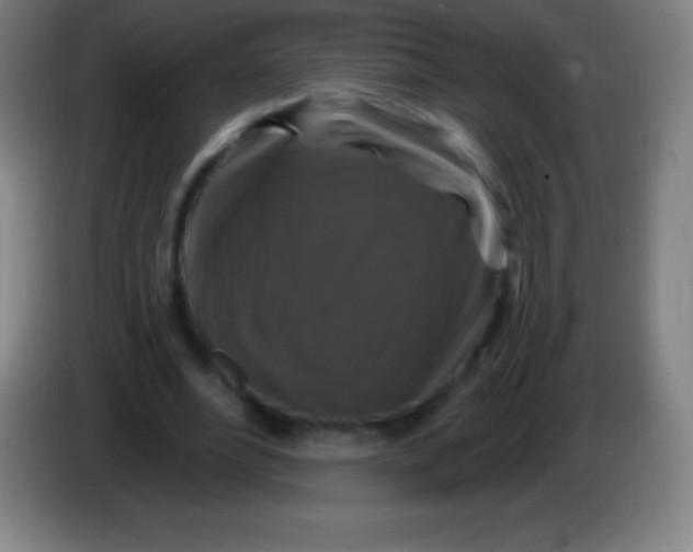 X0000085300488200703302004