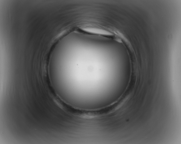 X0000085300489200703302004