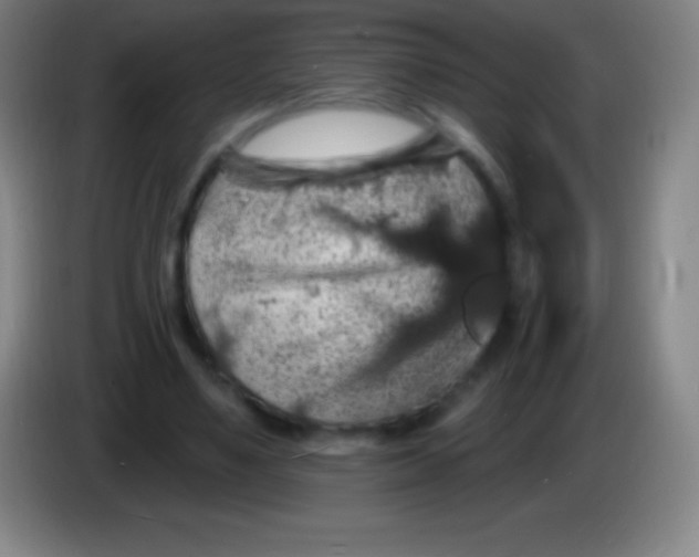 X0000085300491200703302004
