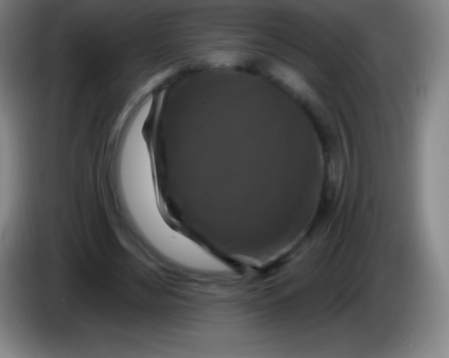 X0000085300492200703302004