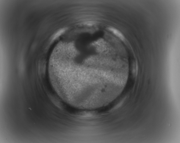 X0000085300495200703302004