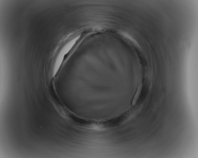 X0000085300496200703302004