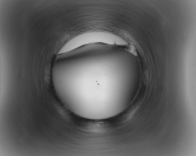 X0000085300497200703302004