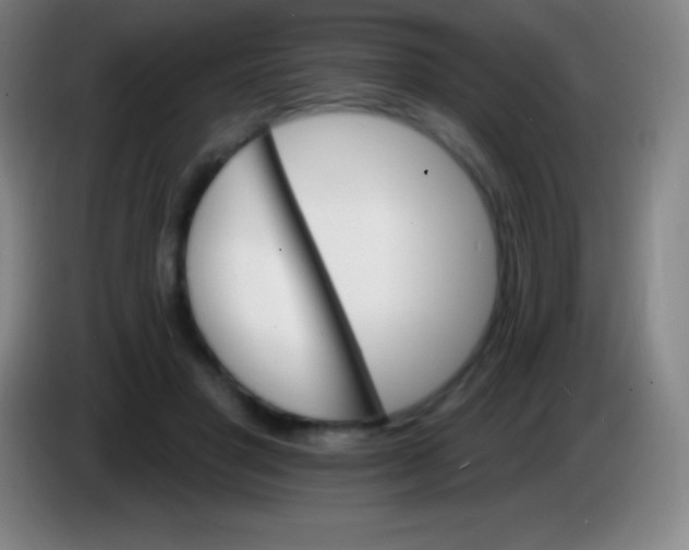 X0000085300501200703302004