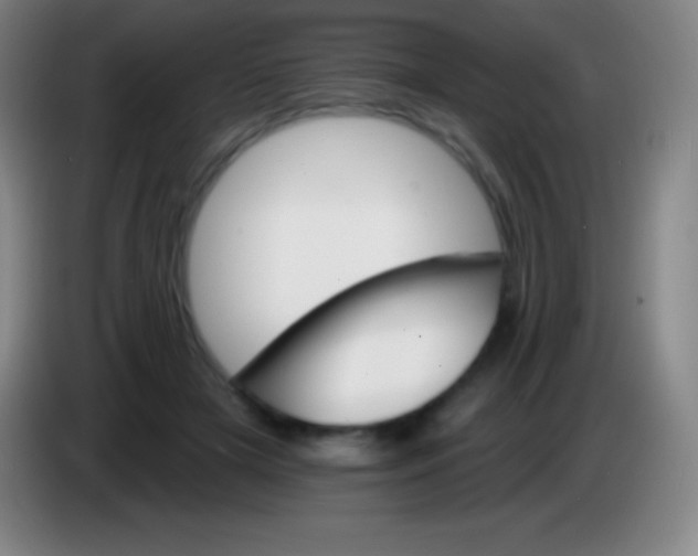 X0000085300505200703302004