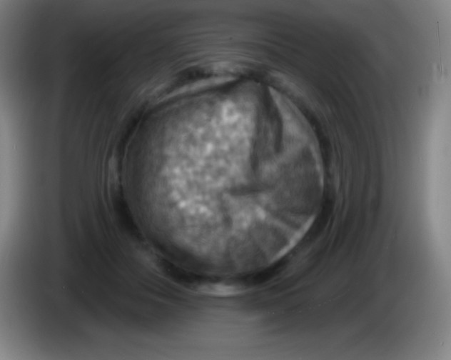 X0000085300506200703302004