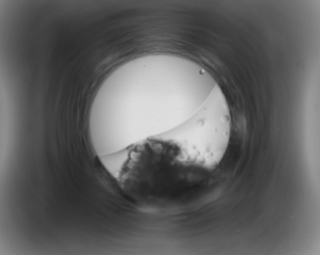 X0000085300507200703302004