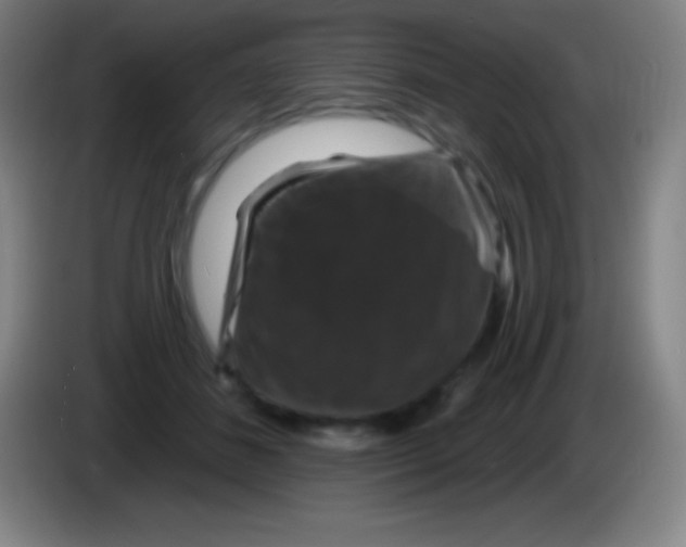 X0000085300508200703302004