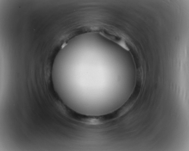 X0000085300509200703302004