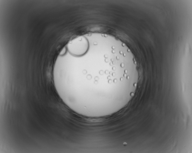 X0000085300510200703302004