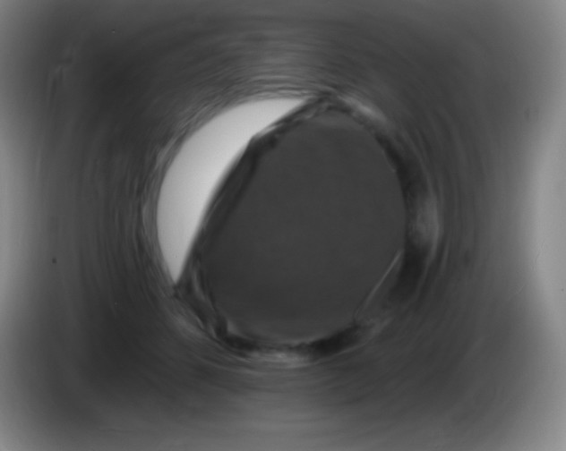 X0000085300512200703302004