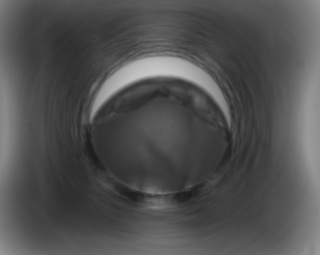 X0000085300516200703302003