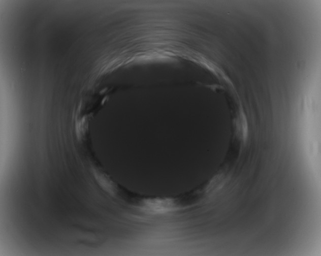 X0000085300517200703302003
