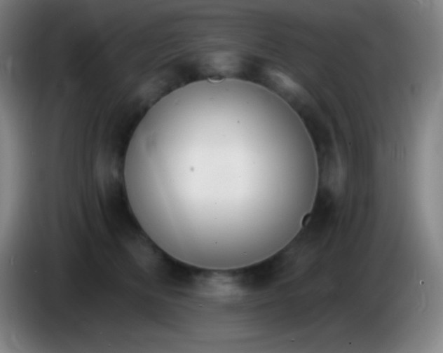 X0000085300518200703302003