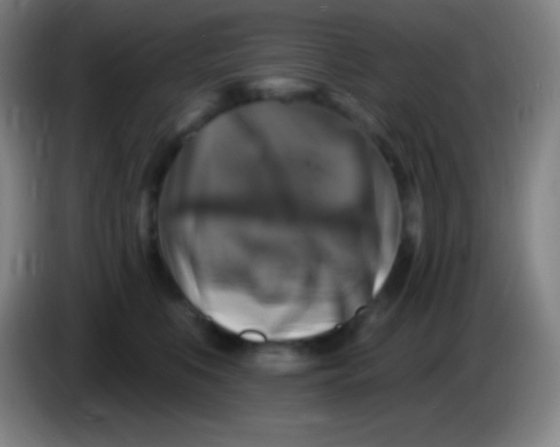 X0000085300519200703302003