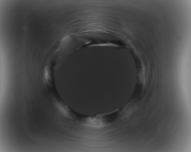 X0000085300520200703302003