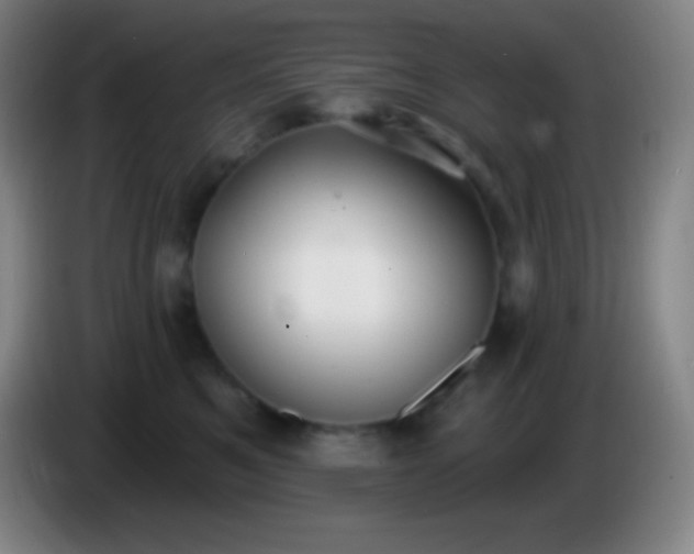 X0000085300521200703302003