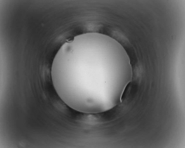 X0000085300522200703302003