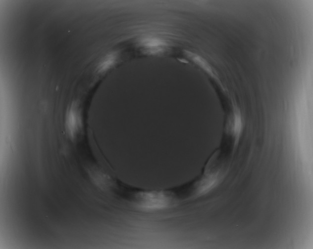 X0000085300524200703302003