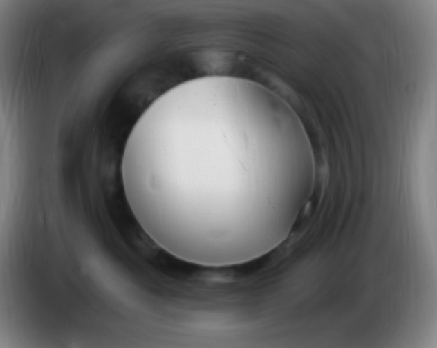 X0000085300525200703302003