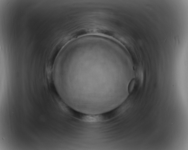 X0000085300526200703302003