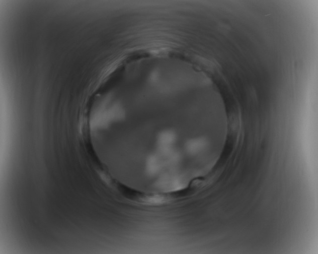 X0000085300527200703302003