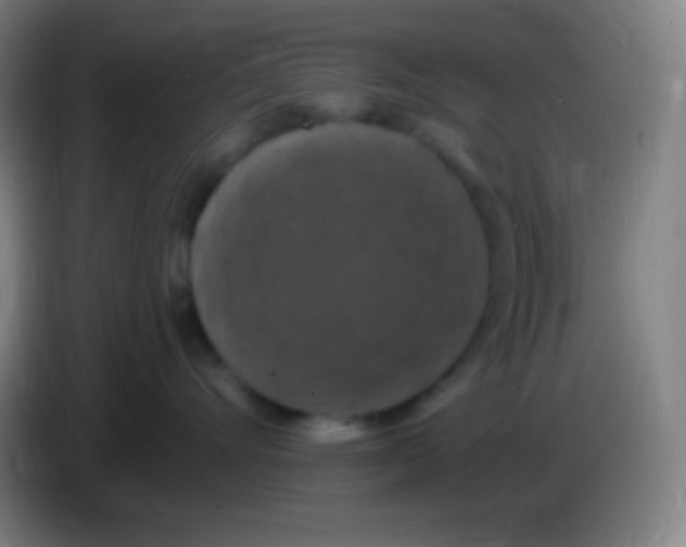 X0000085300528200703302003