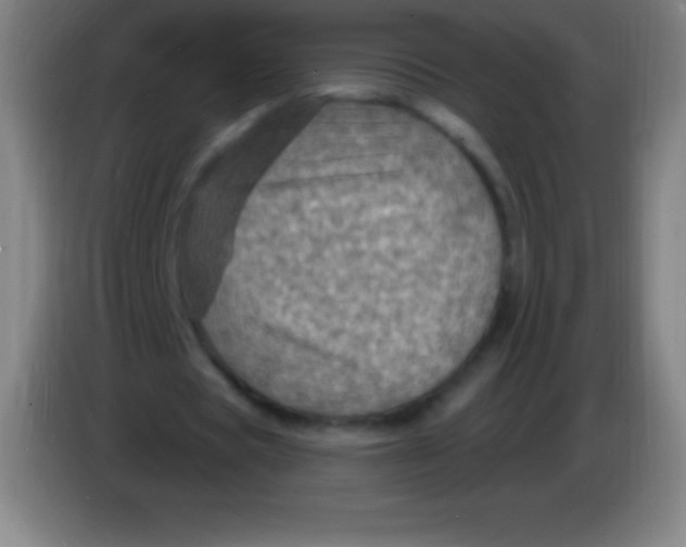 X0000085300529200703302003