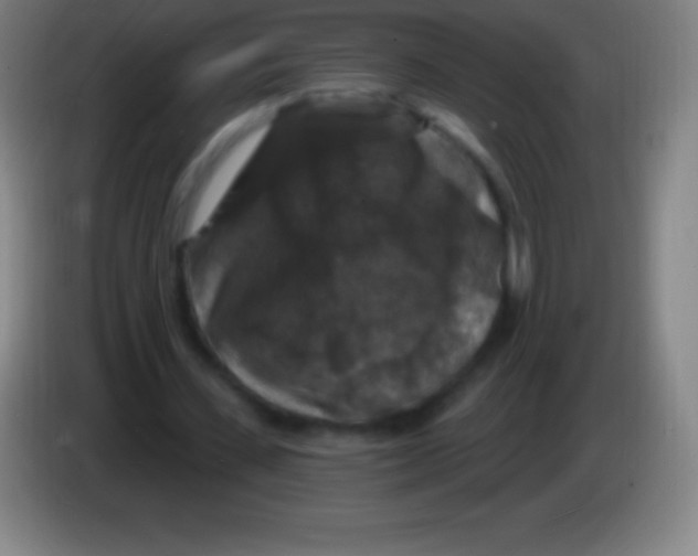 X0000085300531200703302003