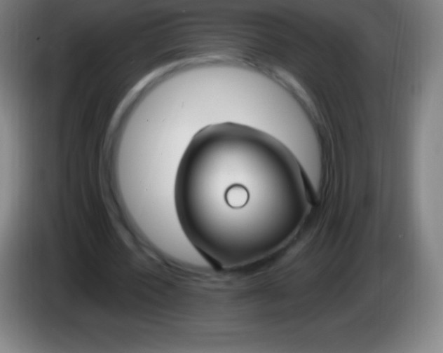 X0000085300532200703302003