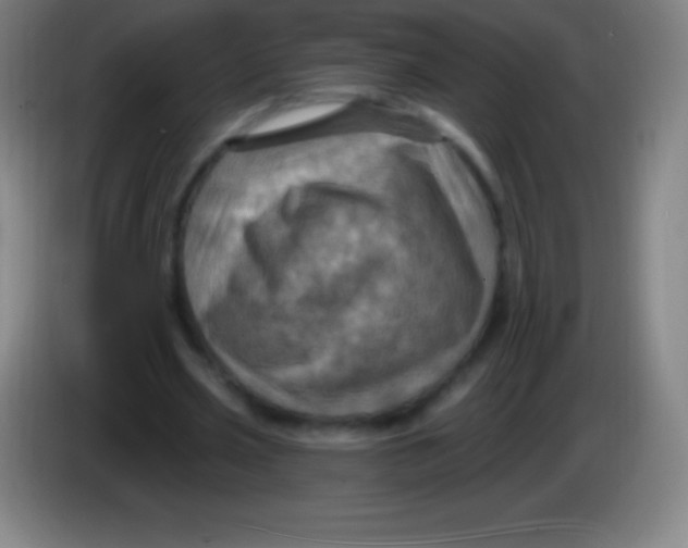 X0000085300533200703302003