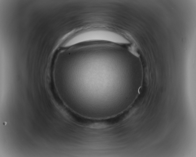 X0000085300536200703302003