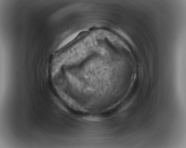 X0000085300537200703302003