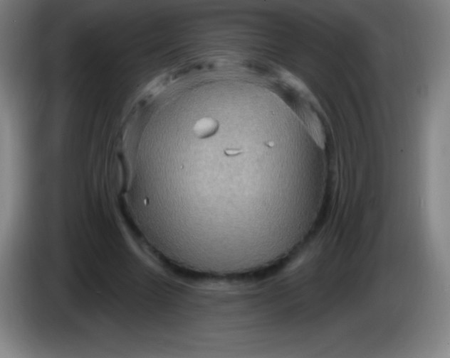 X0000085300538200703302003