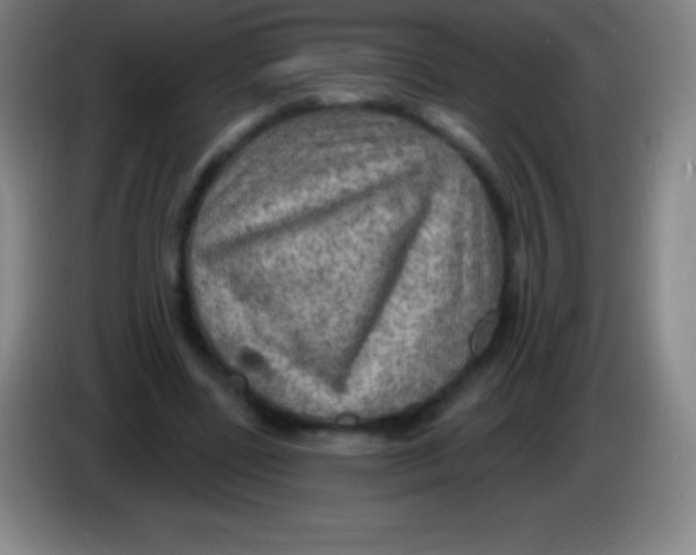 X0000085300539200703302003