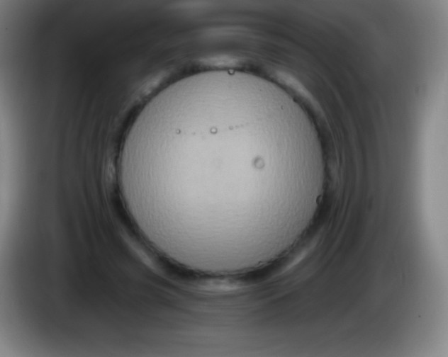 X0000085300541200703302003