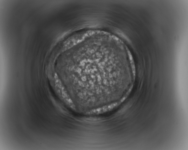 X0000085300542200703302003