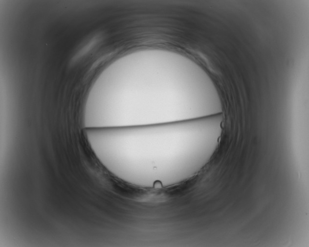 X0000085300543200703302003