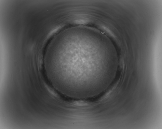 X0000085300544200703302003