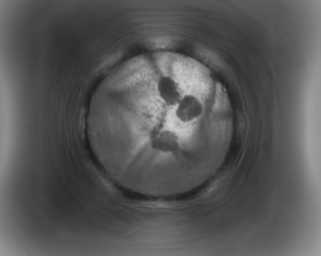 X0000085300545200703302003