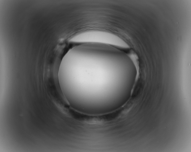 X0000085300546200703302003