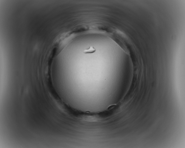 X0000085300548200703302003