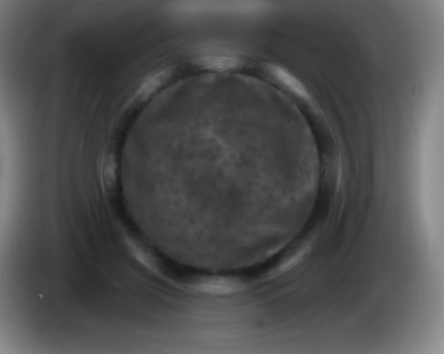 X0000085300549200703302003