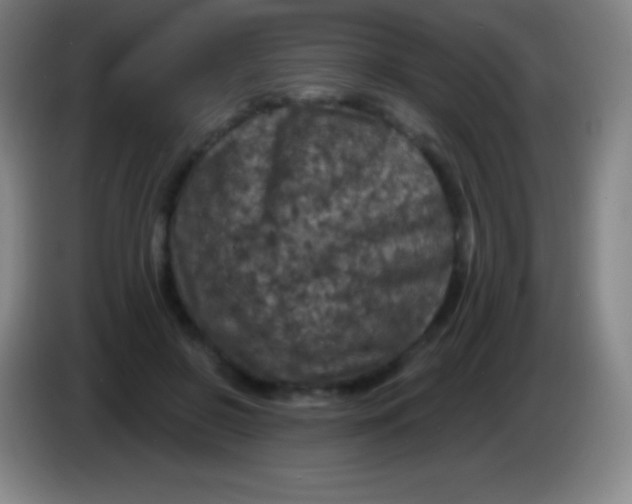 X0000085300550200703302003